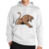 Sport Wick ® Fleece Hooded Pullover Thumbnail