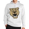 Sport Wick ® Fleece Hooded Pullover Thumbnail