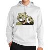 Sport Wick ® Fleece Hooded Pullover Thumbnail