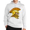 Sport Wick ® Fleece Hooded Pullover Thumbnail