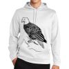 Sport Wick ® Fleece Hooded Pullover Thumbnail