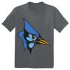 The Concert Tee ® Thumbnail