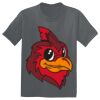 The Concert Tee ® Thumbnail