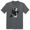 The Concert Tee ® Thumbnail