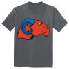 The Concert Tee ® Thumbnail